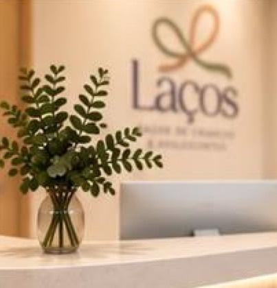Arranjo de folhas sobre o balcão, com a marca Laços ao fundo